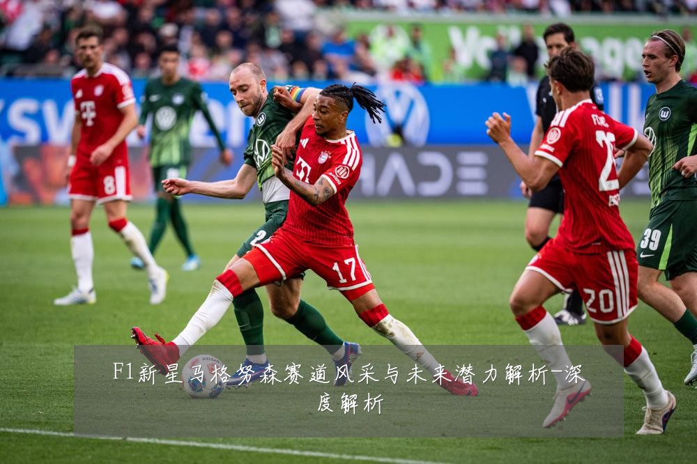 F1新星马格努森赛道风采与未来潜力解析-深度解析